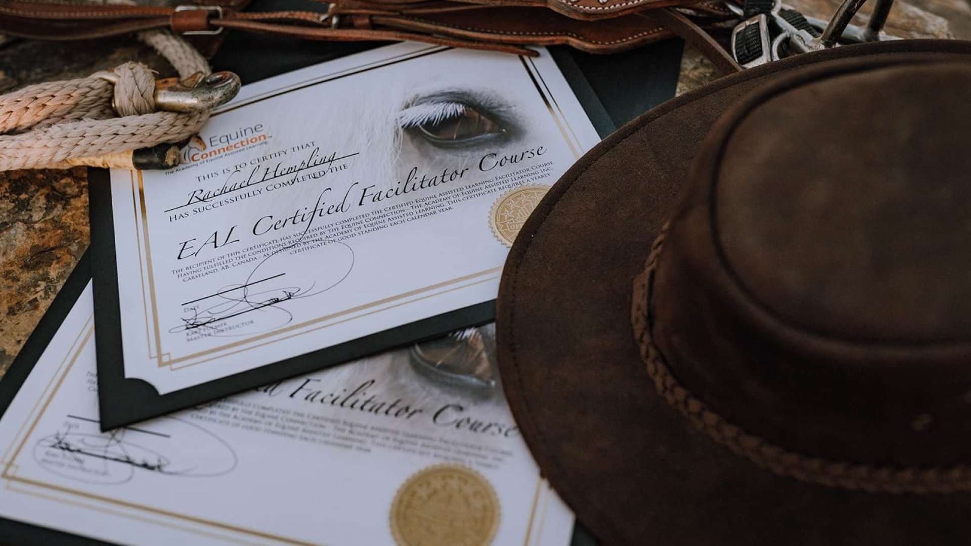 Your Certification Should Be an Investment, Not Just a Certificate