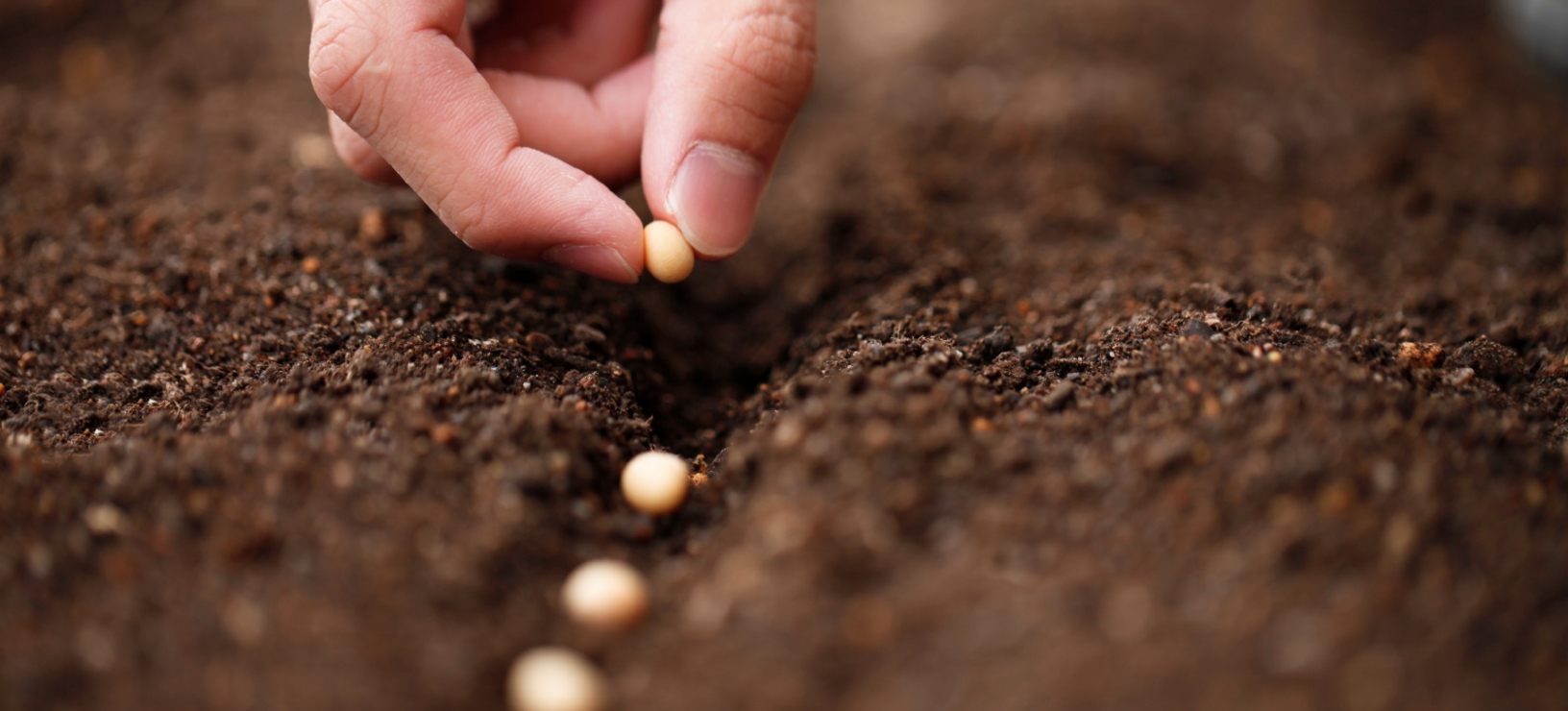 How to wrestle your ideas into reality