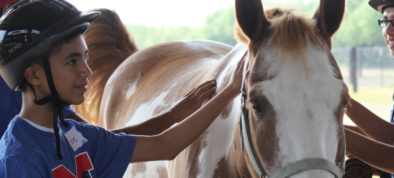 Equine Welfare - Why Is It So Important?