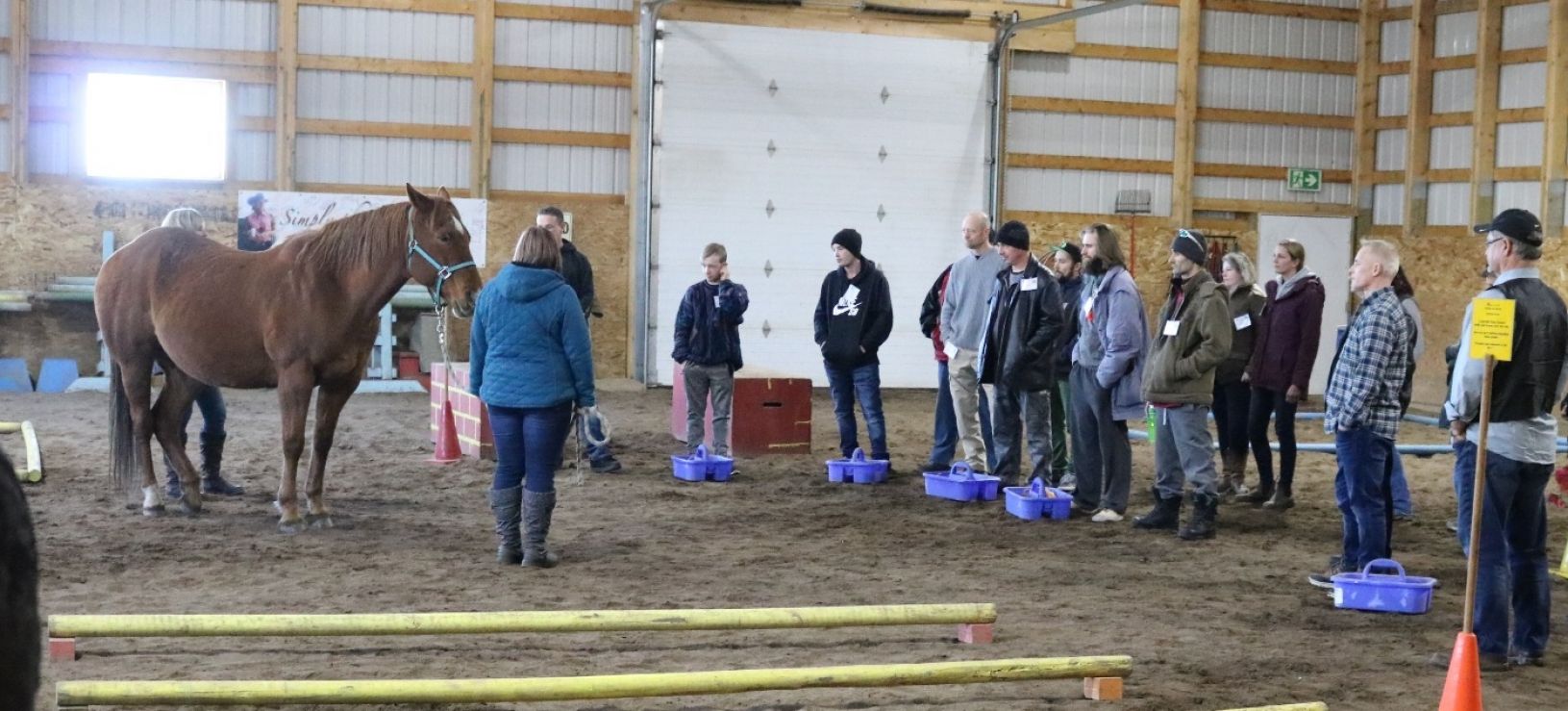 What is an EAL facilitator anyway?