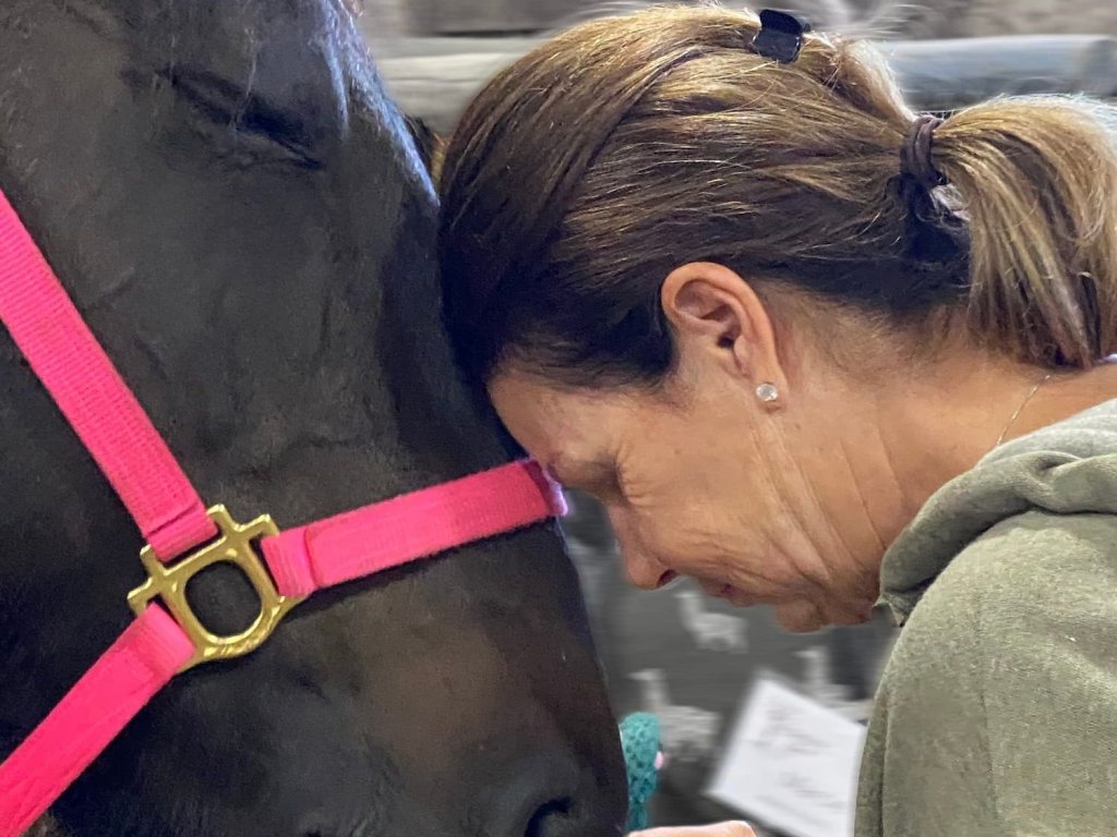 Why Your Clients Feel Stuck… and How Horses Help Them Move Forward