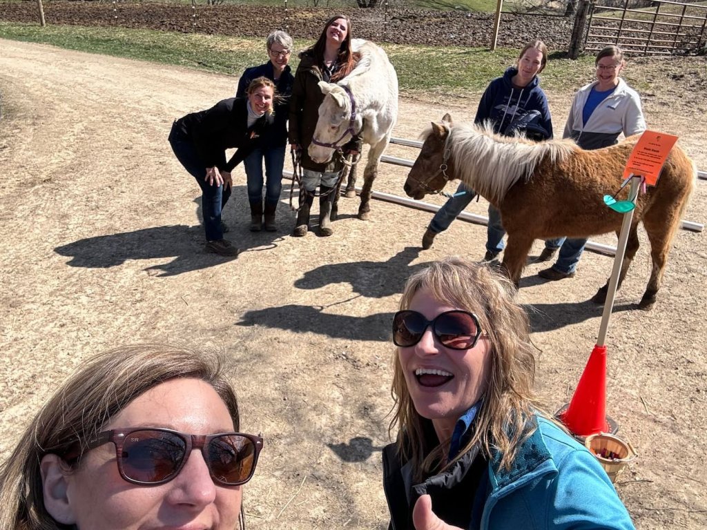 5 Things People Think Will Happen During Equine Assisted Learning... But Usually Don't! 