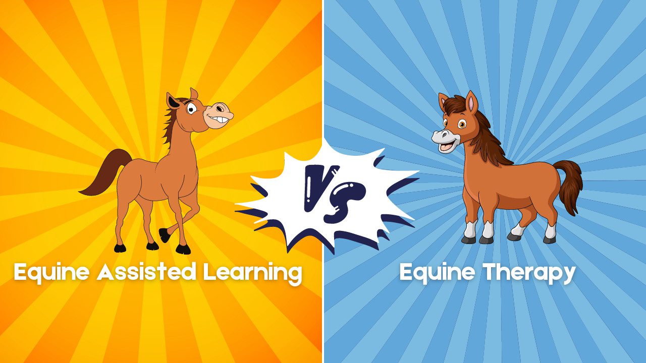 Equine Assisted Learning Vs. Equine Therapy