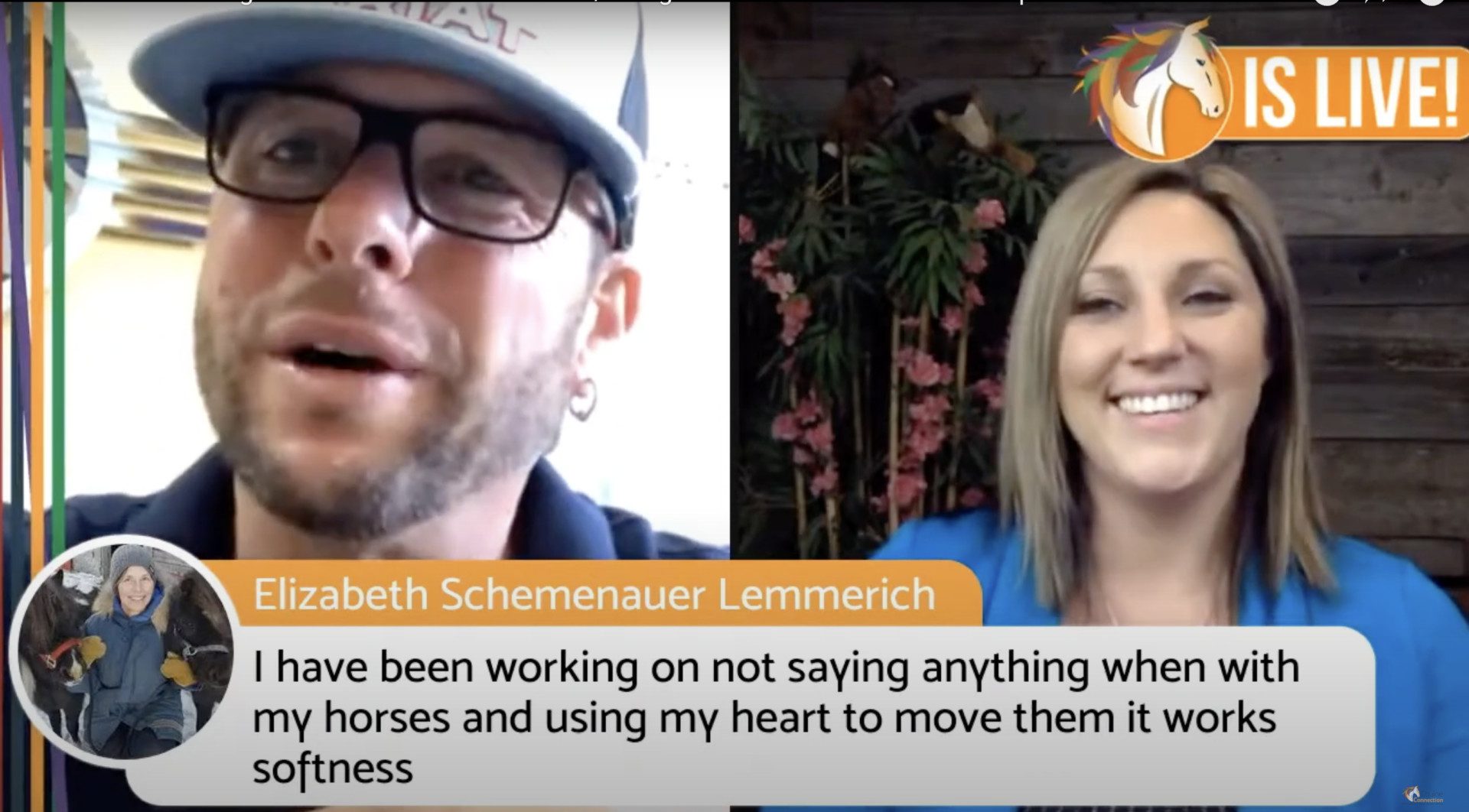 Unlocking Equine Wellness: 7 Key Strategies