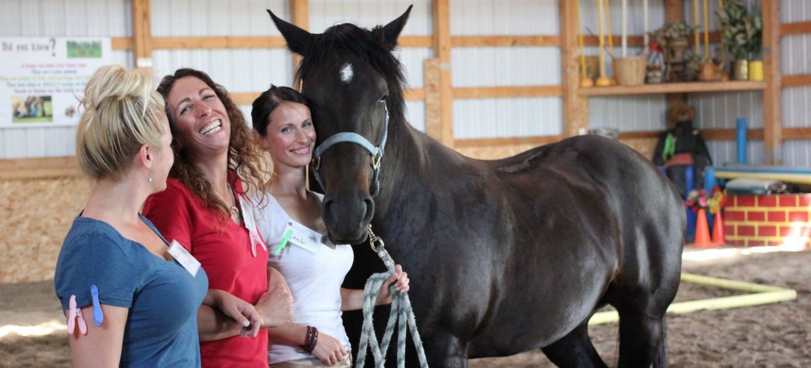 The Spirit of an Amazing Horse - Faye