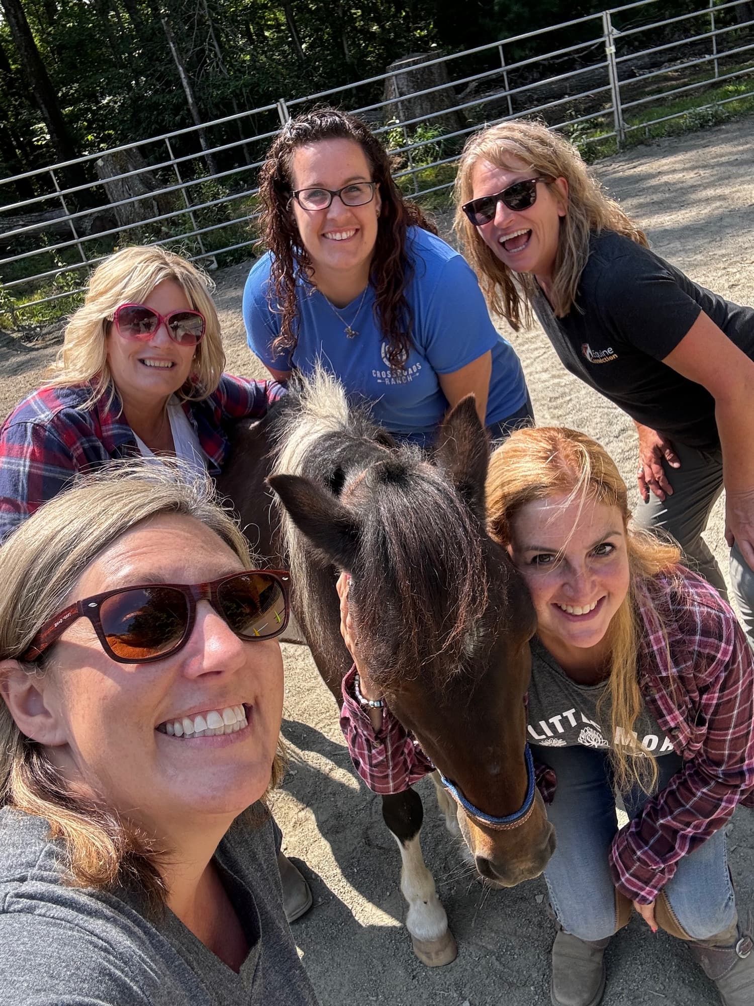 Calgary Ab Levelled Up: Where Horses Teach Humans How to Lead November 4-5, 2027