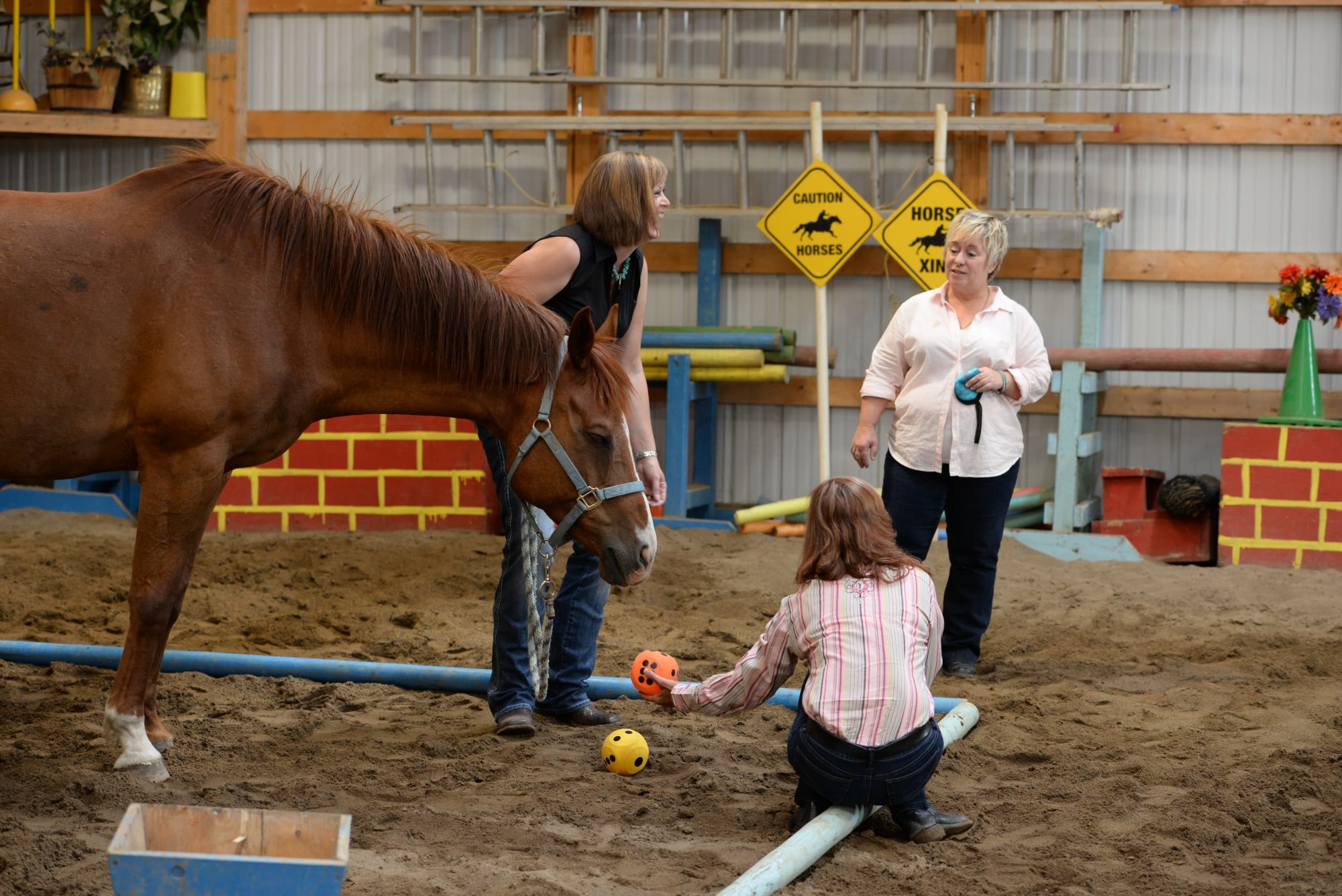 Calgary In-Person Training - Nov. 2 - Nov. 4, 2026