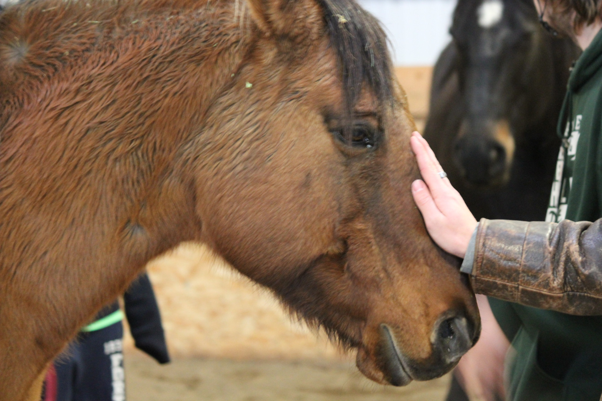 A Journey to Healing: Sam and J.R.