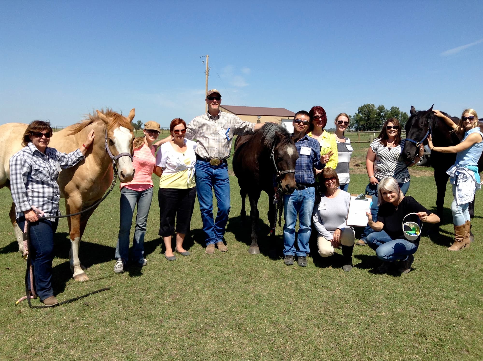Calgary, AB Levelled Up: Where Horses Teach Humans How to Lead