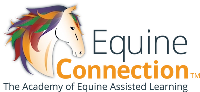 Equine Connection