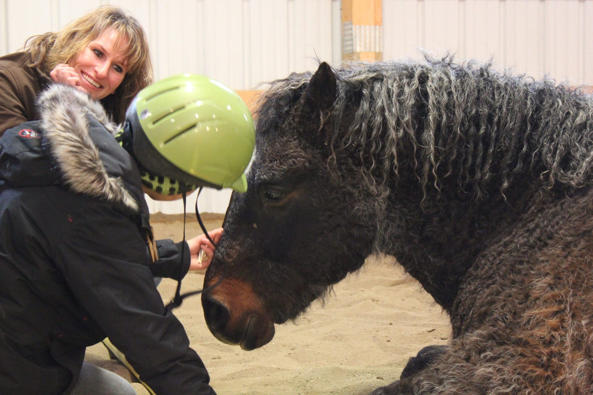 Free 30-Minute Video Sharing: What’s Possible with Horses