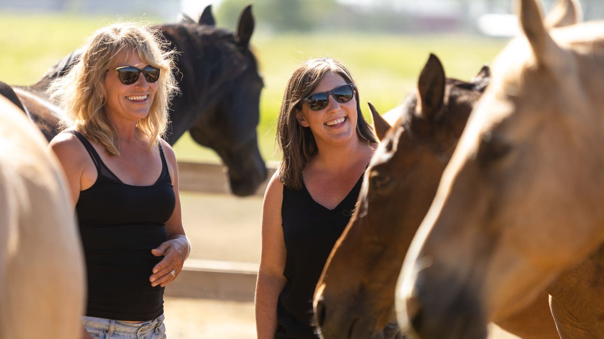 Calgary Ab Levelled Up: Where Horses Teach Humans How to Lead April 1-2