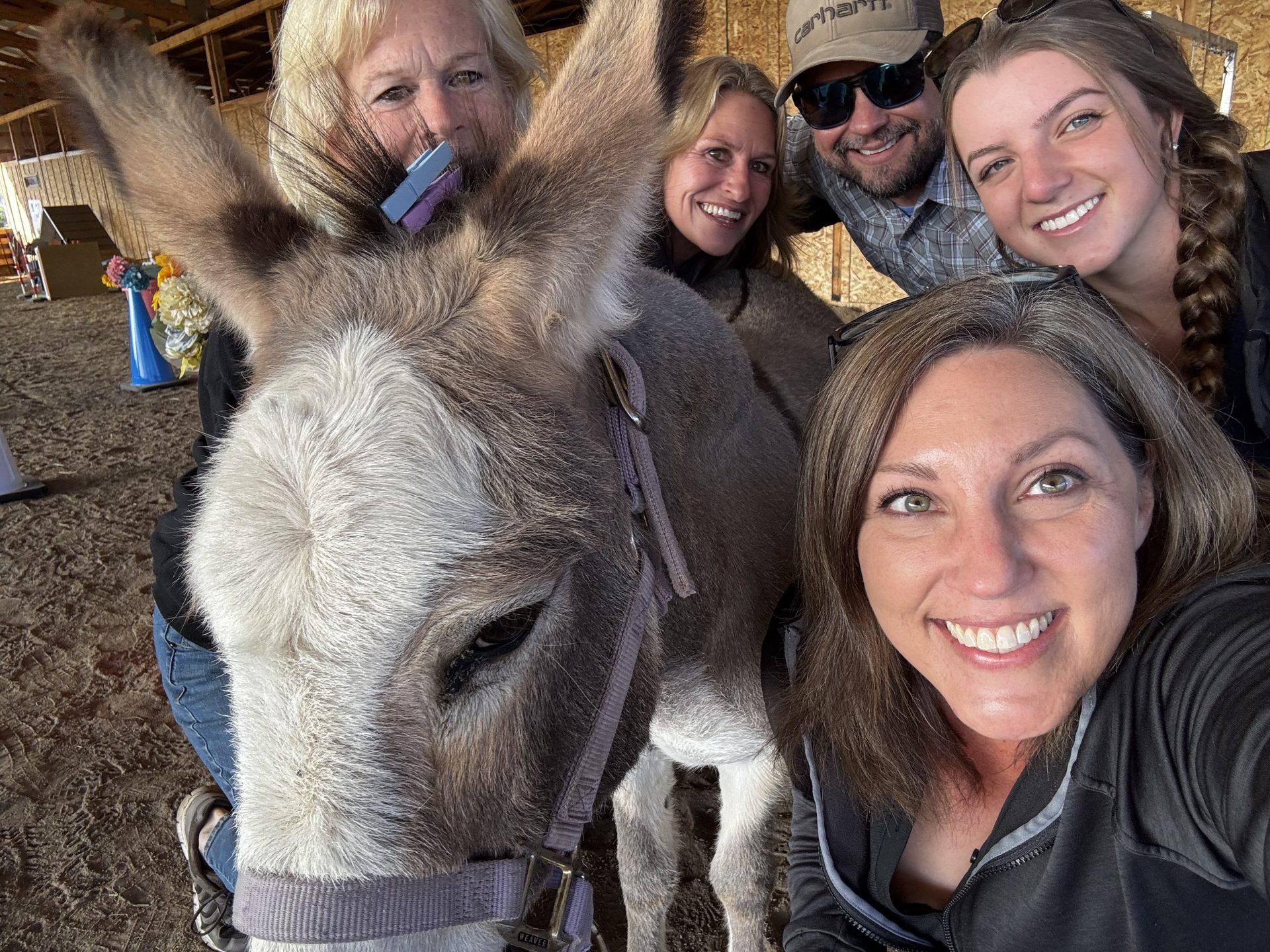 Real Stories, Real Impact: Equine Connection Testimonials